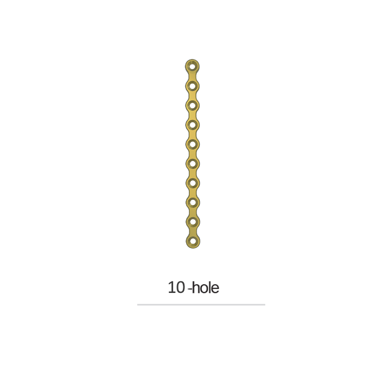 PLATE 10 HOLE