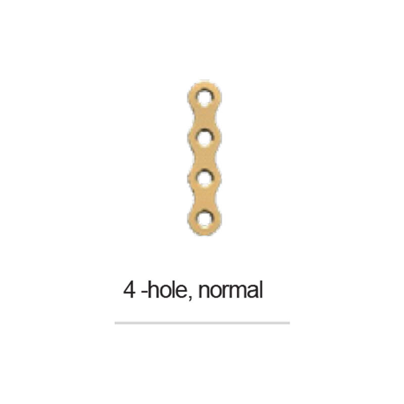 PLATE 4 HOLE