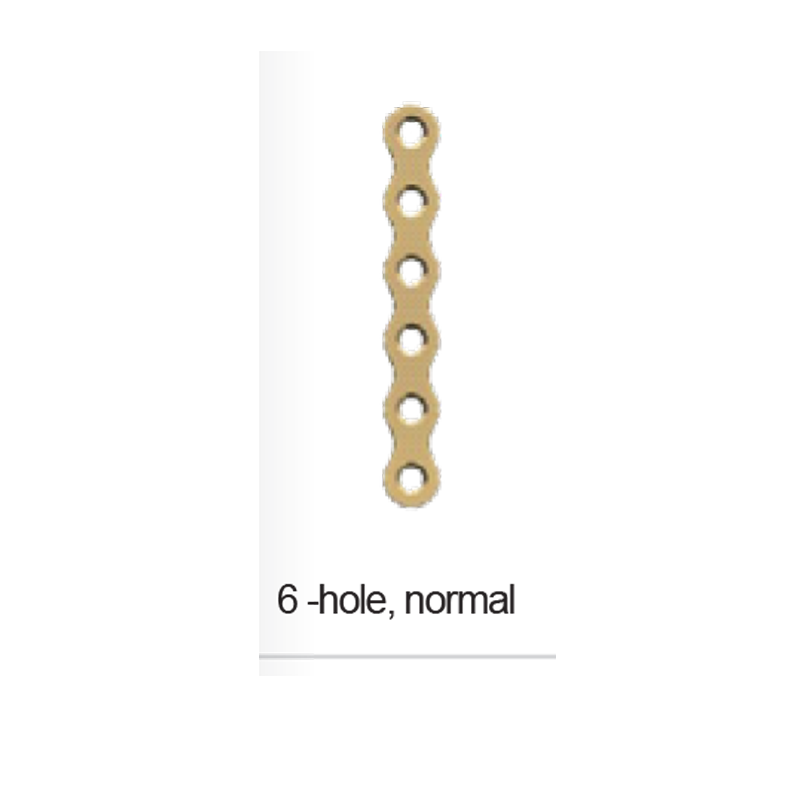 PLATE 6 HOLE