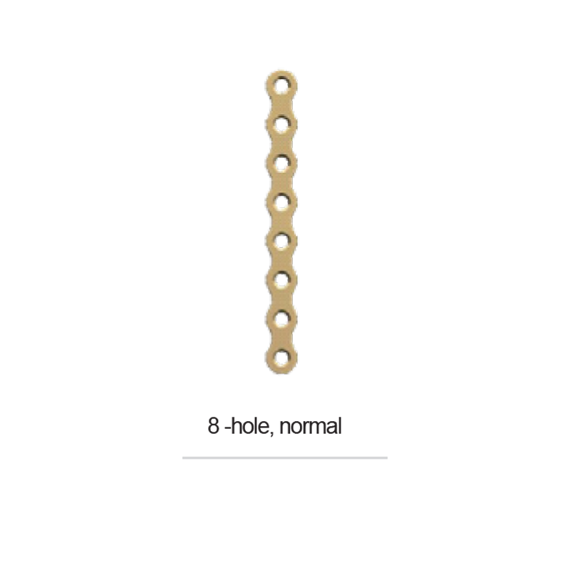 PLATE 8 HOLE