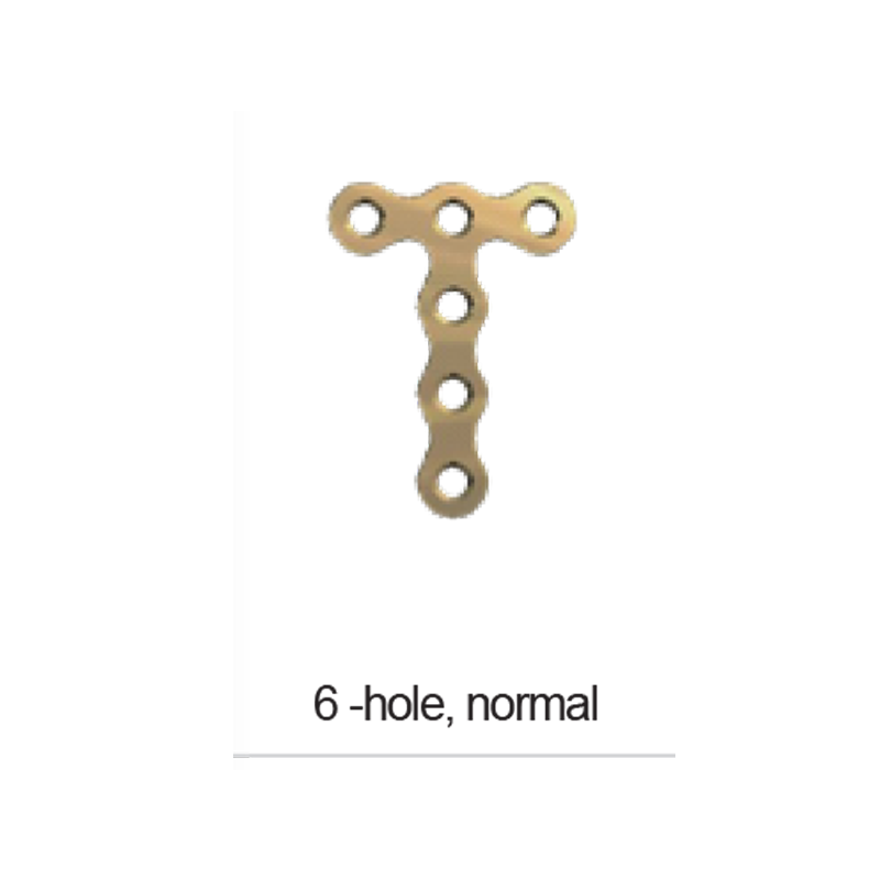 PLATE T 6 HOLE